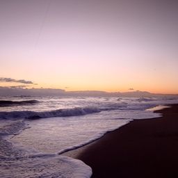 セイゴ（マルスズキ）