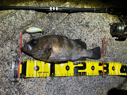 三陸海岸（岩手）