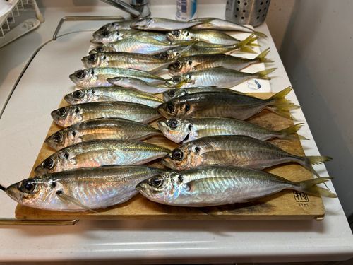 とっとパーク小島