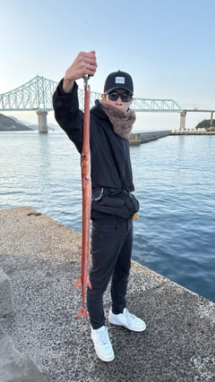 アカヤガラの釣果