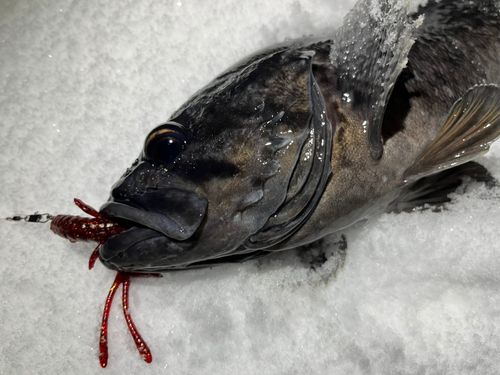 三陸海岸（青森）