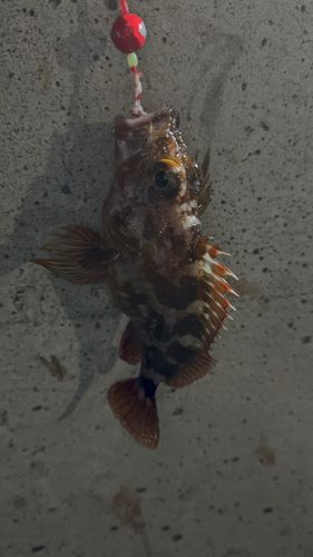 金沢水際線緑地（福浦岸壁）