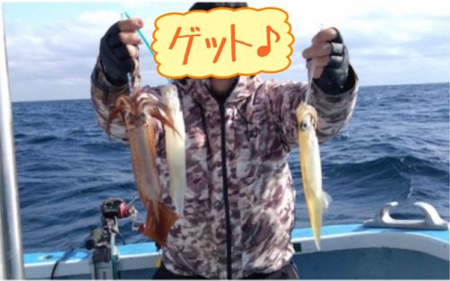 ヤリイカの釣果