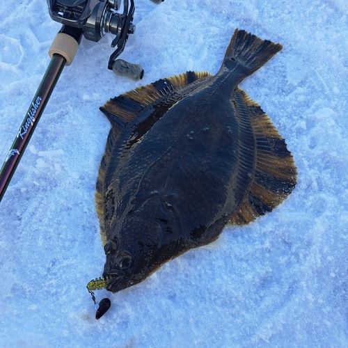 三陸海岸（青森）