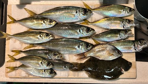 本牧海づり施設