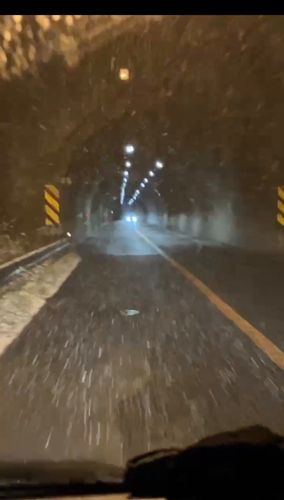 アカカマスの釣果