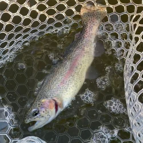 しらこばと水上公園