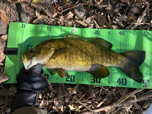 水と緑と風広場前