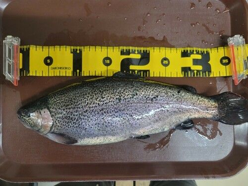 すそのフィッシングパーク