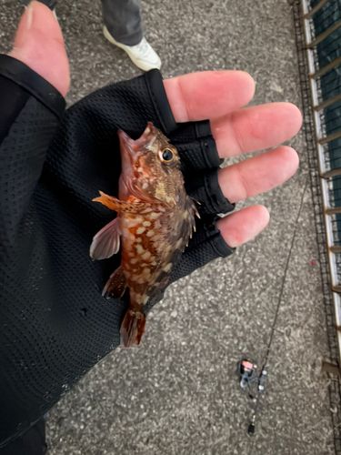 うみかぜ公園付近