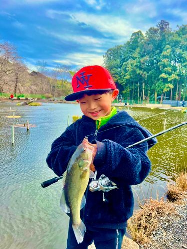 アングラーズパークキングフィッシャー