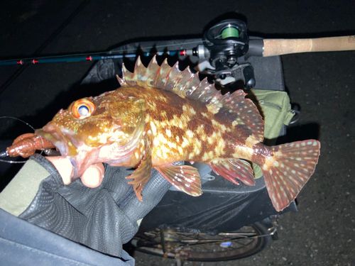 東京湾（アクアライン〜富津）
