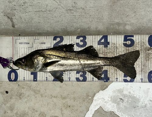 荒川河川敷運動公園