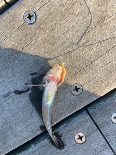 小名浜港アクアマリンふくしま周辺