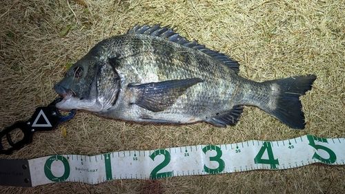 東京湾（アクアライン〜富津）