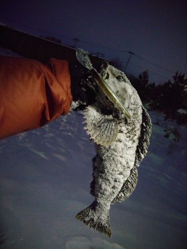 三陸海岸（青森）