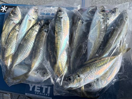 小名浜港アクアマリンふくしま周辺