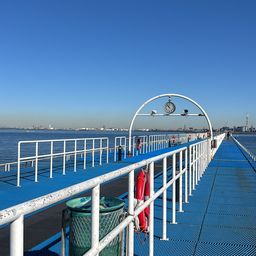 セイゴ（マルスズキ）