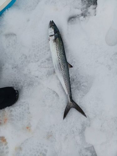 鞠山海遊パーク