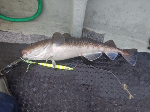 三陸海岸（岩手）