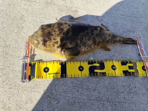 金沢水際線緑地（福浦岸壁）