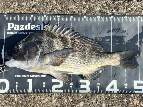 千葉港中央埠頭