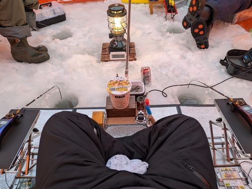 ワカサギの釣果