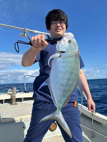 ホシカイワリの釣果