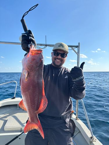 アカジンミーバイの釣果