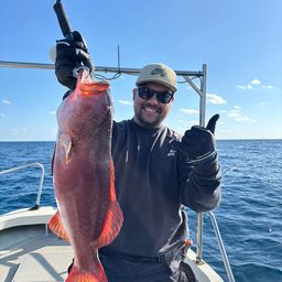 アカジンミーバイ