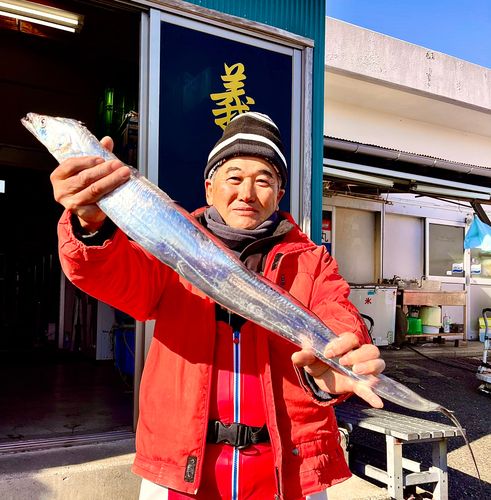 タチウオの釣果