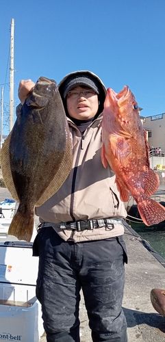 ヒラメの釣果