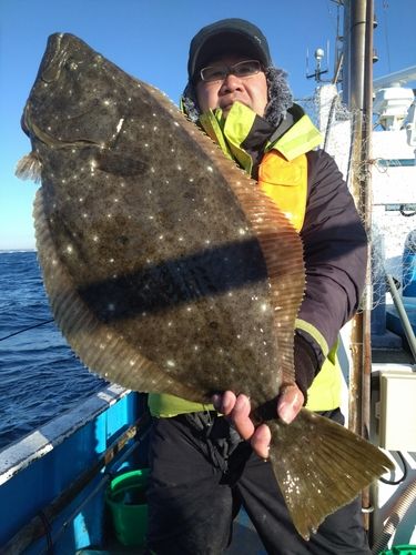 ヒラメの釣果