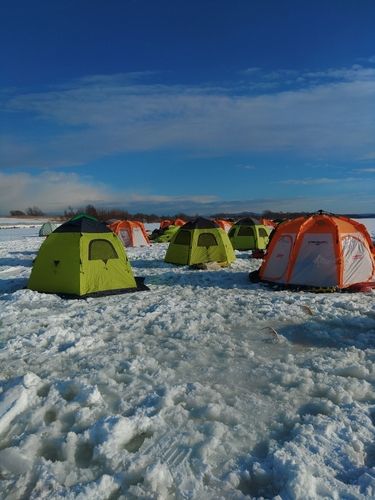 ワカサギの釣果