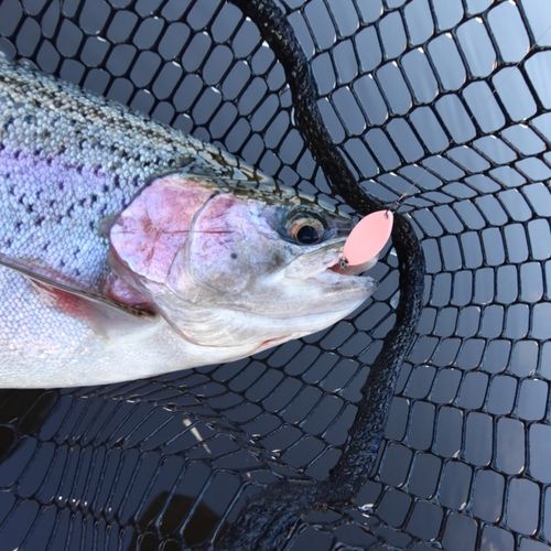 ウォルトンガーデン