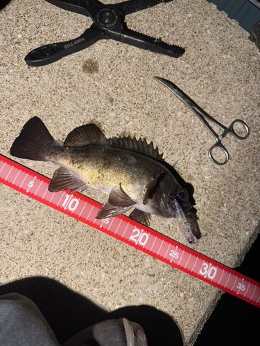 警固屋中学校前