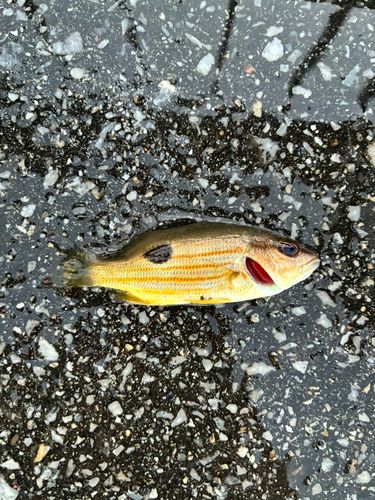 西原・与那原マリンパーク