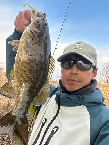 桂川（京都）下流