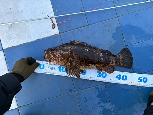 相馬港釣り桟橋