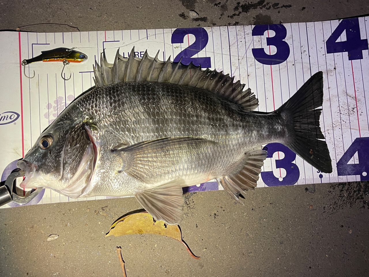 SHIMANO 23ディアルーナ S96Mの最安値・インプレ・釣果 | 本音の口コミ