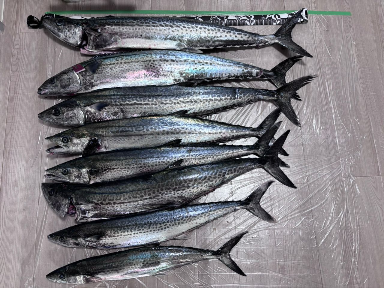 SHIMANO 20コルトスナイパー XR S100Mの最安値・インプレ・釣果 | 本音