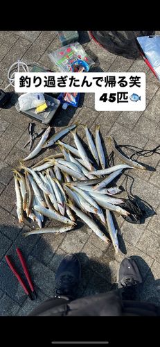 みやざき臨海公園