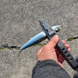 カタボシイワシ