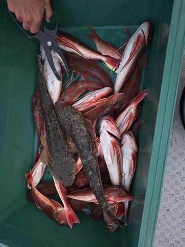 東京湾（アクアライン以北）