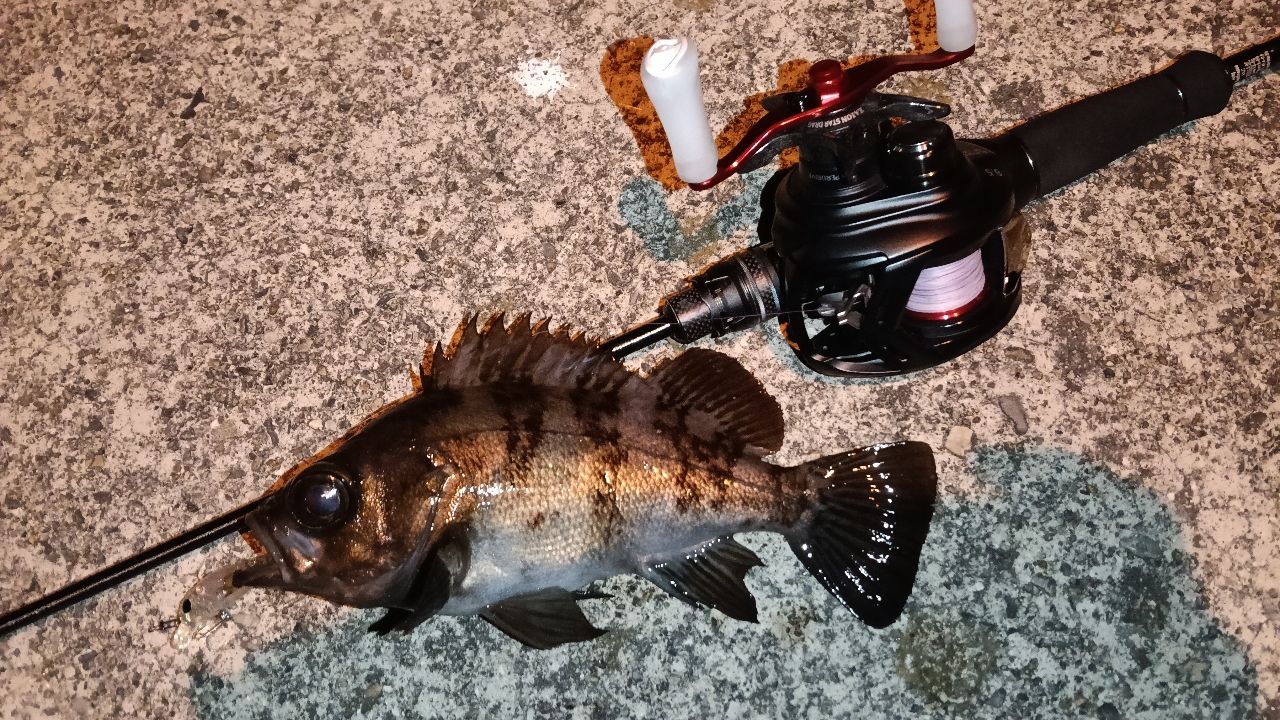 AbuGarcia ソルティーステージ プロトタイプ ベイトフィネス XAJC