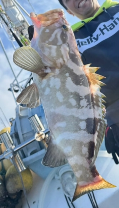 クエの釣果