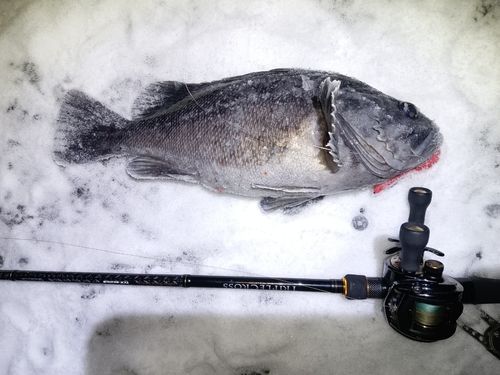 キラキラ公園（苫小牧西港）