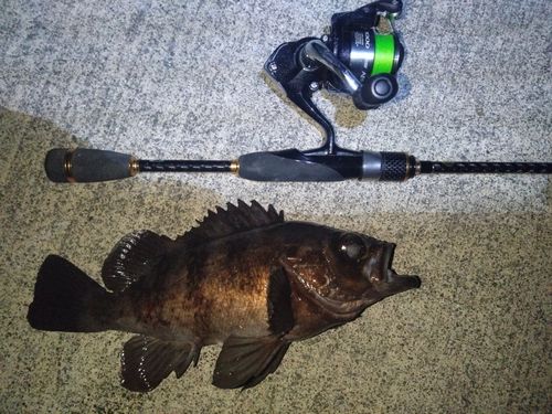 三陸海岸（岩手）