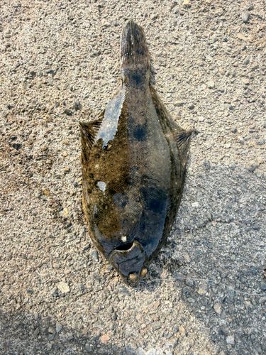 五十鈴川河口（伊勢）