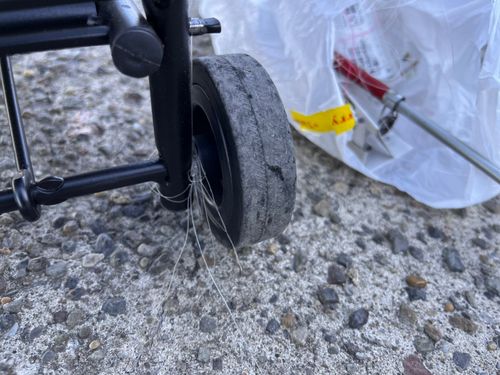 若洲海浜公園海釣り施設